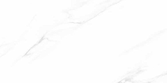 Керамогранит A0KB AA0A Calcatta White Polished Goldis Tile 59.7х119.8 полированный универсальный УТ000030193