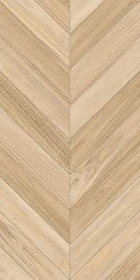Керамогранит Agadir-R Natural 60x120 универсальный матовый фото Керамогранит Agadir-R Natural 60x120 универсальный матовый