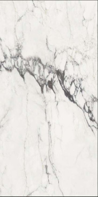 Керамогранит Michelangelo Glosst 90х180 Fmax полированный универсальный F918G10114