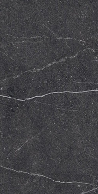 Керамогранит Equistone Charcol 60х120 RG Arcadia Ceramica полированный универсальный RG6003-A