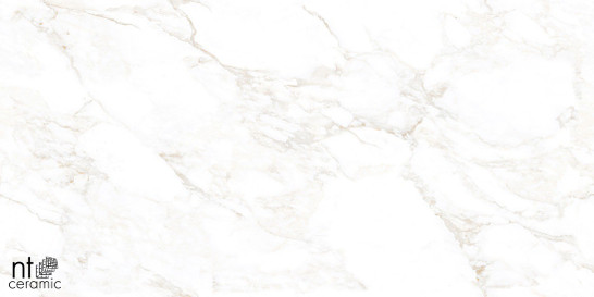 Керамогранит Marble Extra Endless mat 60х120 NT Ceramic Marmo матовый универсальная плитка NTT99526M фото Керамогранит Marble Extra Endless mat 60х120 NT Ceramic Marmo матовый универсальная плитка NTT99526M