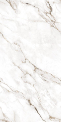 Керамогранит Infinity Statuario Super 60x120 Ocean ceramic полированный универсальный OC0000097 фото Керамогранит Infinity Statuario Super 60x120 Ocean ceramic полированный универсальный OC0000097