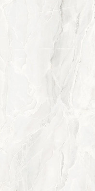 Керамогранит White Paradise Lappato Emil Ceramica 60х120 лаппатированный (полуполированный) универсальный EJW4 фото Керамогранит White Paradise Lappato Emil Ceramica 60х120 лаппатированный (полуполированный) универсальный EJW4