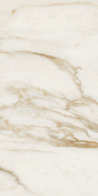 Керамогранит Maximvs Calacatta Bright Lux R 60x120 Versace полированный универсальная плитка G67582