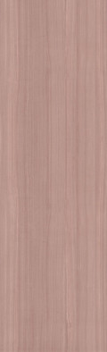 Керамогранит Euca Lyptus 120x300 Matt (6 мм) Zodiac Ceramica Poliform Wood матовый универсальная плитка MN312BY301206 фото Керамогранит Euca Lyptus 120x300 Matt (6 мм) Zodiac Ceramica Poliform Wood матовый универсальная плитка MN312BY301206