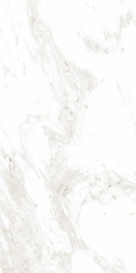 Керамогранит CBP5691M 60x120 Monalisa Marbles 5.5 полированный универсальный G011322