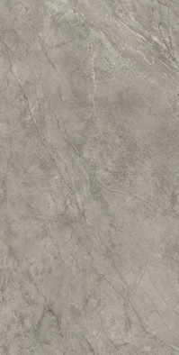 Керамогранит Marvel Meraviglia Silver Majestic 120x240 Lapp. Atlas Concorde Italy полированный универсальный AJH9