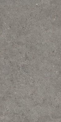 Настенная плитка Beren Dark Grey Ductile Soft 60x120 Living Ceramics матовая керамическая LV10088