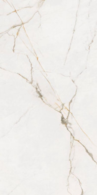 Керамогранит 6260-0016 Блюм Белый 30х60 Lasselsberger матовый напольный