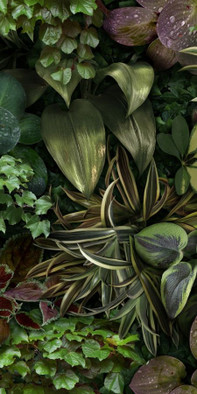 Керамогранит Jane B 50x100 41ZERO42 матовый настенный 4100152