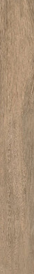 Керамогранит Paramo-R Beige 14.3
