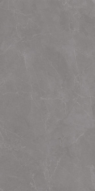 Керамогранит Valencia Grey 60x120 Matt Staro Rizzi матовый универсальная плитка УТ-00000618