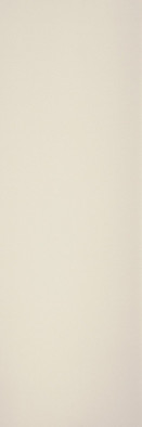 Керамогранит CL.CL.NV.NT 3000х1000х3.5 Arch Skin Color матовый универсальный