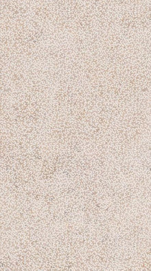 Керамогранит Curve Warm Nat R 60х120 ABK Poetry Stone Reloaded матовый настенная плитка PF60017566 фото Керамогранит Curve Warm Nat R 60х120 ABK Poetry Stone Reloaded матовый настенная плитка PF60017566
