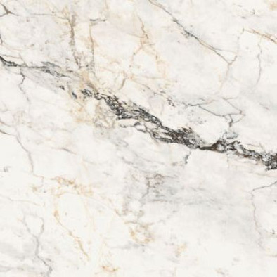 Керамогранит AePao6120Rm 120х120 La Faenza Monoceram матовый универсальный