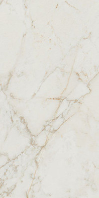 Керамогранит Roma Gold 60x120 Calacatta Delicato Brill Fap Ceramiche полированный универсальный 36933 фото Керамогранит Roma Gold 60x120 Calacatta Delicato Brill Fap Ceramiche полированный универсальный 36933