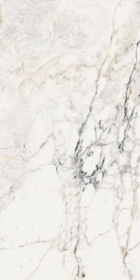 Керамогранит AeOro6278Lp 120х278 La Faenza Monoceram Aesthetica лаппатированный (полуполированный) универсальный фото Керамогранит AeOro6278Lp 120х278 La Faenza Monoceram Aesthetica лаппатированный (полуполированный) универсальный