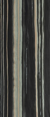 Керамогранит Bosco Black Nat. (6 mm) 120х280 Tau Ceramica матовый настенный 10423-0001 фото Керамогранит Bosco Black Nat. (6 mm) 120х280 Tau Ceramica матовый настенный 10423-0001