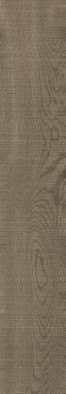 Керамогранит Riga Walnut 20x120 Living Ceramics матовый универсальная плитка LV11780