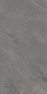 Керамогранит Astonia Grey Glossy Golden Line 60x120 Infinity Ceramica полированный универсальная плитка