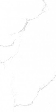 Керамогранит Silver Statuario Maimoon 60x120 полированный универсальный