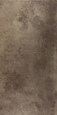 Керамогранит Ceracasa Evolution Lapatto Rect Titanio 49,1x98,2, , лаппатированный