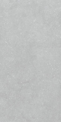 Настенная плитка Noon Grey Ductile 60x120 Living Ceramics матовая керамическая LV11707