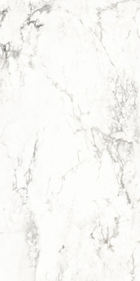 Керамогранит Medicea Marble Pol.6 mm 60x120 Alpas Euro Premium Marble полированный напольный n144736