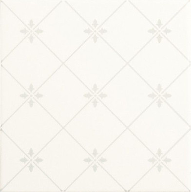 Настенная плитка Delis Blanco 20x20 глянцевая фото Настенная плитка Delis Blanco 20x20 глянцевая