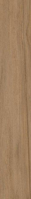 Керамогранит Belice-R Natural 19,4x120 универсальный матовый