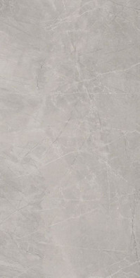 Керамогранит Silver Natural 120x240 универсальный фото Керамогранит Silver Natural 120x240 универсальный