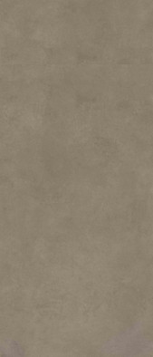 Керамогранит Scs Spectra Mushroom Gv 120х278х6 Simpolo матовый универсальная плитка MPL-060341