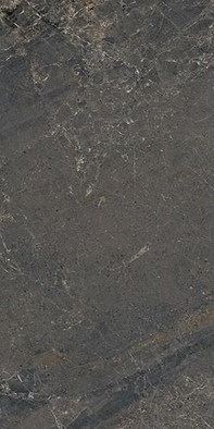 Керамогранит Anthology 05 Dark Nat RT 60x120 Lea Ceramiche матовый универсальный LGXAL55 фото Керамогранит Anthology 05 Dark Nat RT 60x120 Lea Ceramiche матовый универсальный LGXAL55