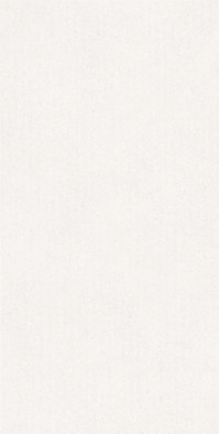 Керамогранит Saturn-WSM-F2 60x120 (10 мм) Zodiac Ceramica матовый настенная плитка Art##0008768