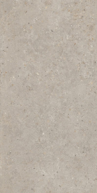 Керамогранит SG540620R Риккарди Бежевый матовый обрезной 60x119,5x0,9 Kerama Marazzi универсальная плитка