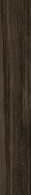 Керамогранит Belice-R Carbon 19,4x120 универсальный матовый