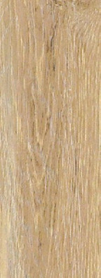 Керамогранит Forest Rovere 300x100x0,55 фото Керамогранит Forest Rovere 300x100x0,55