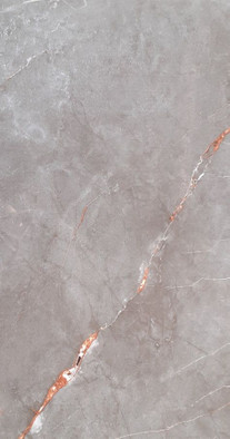 Керамогранит grey Pol 239,8x119,8 универсальный полированный