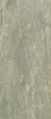 Керамогранит Anima Ever Sage Green Luc AFA3 120x278 универсальный полированный