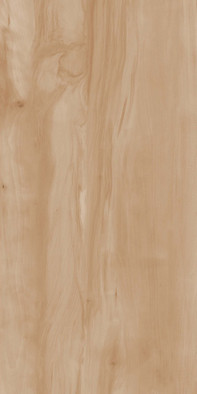 Керамогранит Paint Wood Bone Gloss 60x120 Realistik полированный универсальная плитка 00000084952