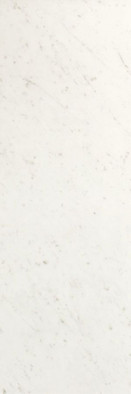 Настенная плитка Carrara Brillante 25x75 глянцевая керамическая фото Настенная плитка Carrara Brillante 25x75 глянцевая керамическая