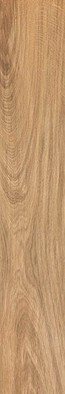Керамогранит Etic Rovere 15 Rt фото Керамогранит Etic Rovere 15 Rt
