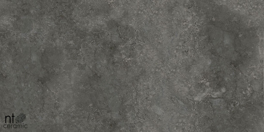 Керамогранит Concrete PP459NTT77003M 45х90 NT Ceramic лаппатированный (полуполированный) универсальная плитка фото Керамогранит Concrete PP459NTT77003M 45х90 NT Ceramic лаппатированный (полуполированный) универсальная плитка