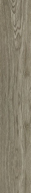 Керамогранит Wood Forest Mat 20х120 NT Ceramic матовый напольный NTT92306M
