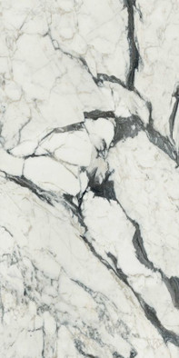 Керамогранит Calacatta Altissimo Blanc 766330 120 х 60 х 1 универсальный полированный