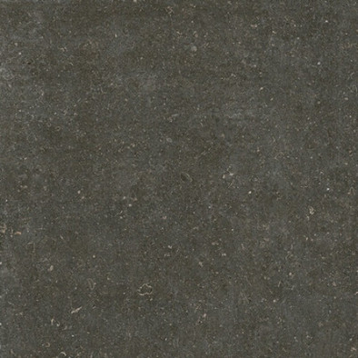 Керамогранит Rinascenza Arena Platino Matte R10 B 120x120 Casa Dolce Casa матовый универсальная плитка 785581