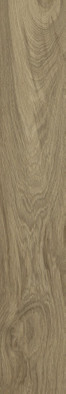 Керамогранит WD106 Branch Taupe 20x120 Primavera матовый универсальная плитка 254221