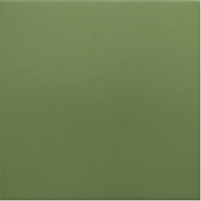 Керамогранит Rivoli Green 20x20 Equipe матовый универсальный 30716 фото Керамогранит Rivoli Green 20x20 Equipe матовый универсальный 30716