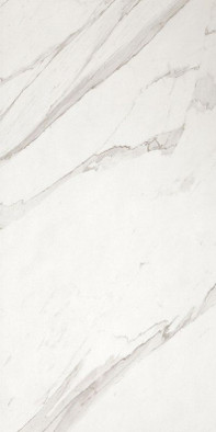 Настенная плитка Roma 50 Statuario-50x120 матовая керамическая