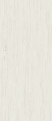 Керамогранит Marvel Bianco Dolomite 120x278 Matt  (A2RS) матовый